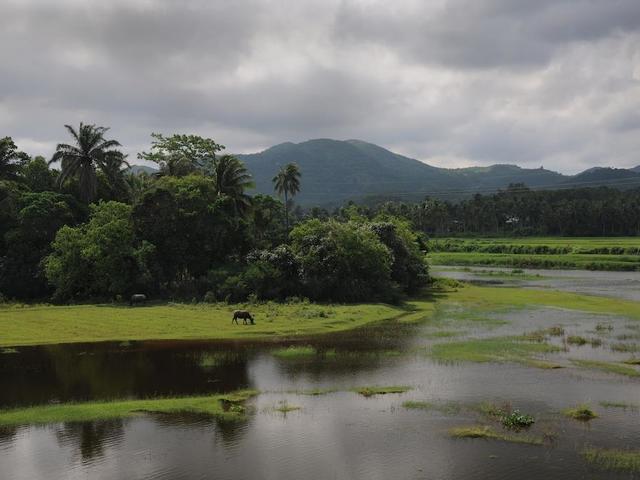 фото Four Points by Sheraton Shenzhou Peninsula изображение №18