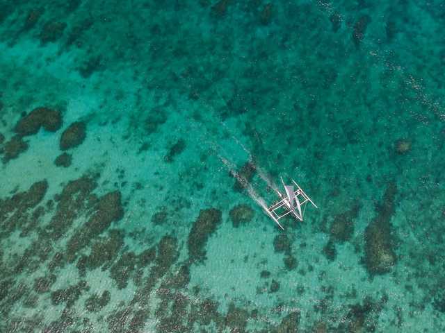 фото отеля Calypso Beach & Dive Resort изображение №45