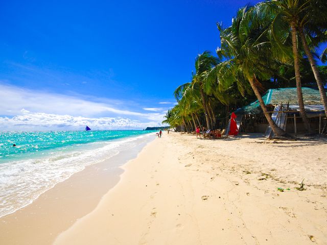 фото отеля Calypso Beach & Dive Resort изображение №9