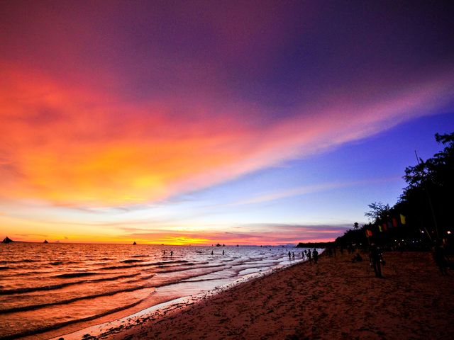 фотографии Calypso Beach & Dive Resort изображение №4