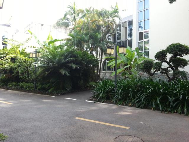 фото Sanya Jingli Lai Resort изображение №26