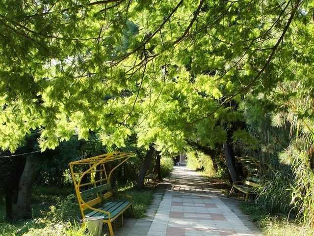 фотографии отеля Питиус (Pitius) изображение №55