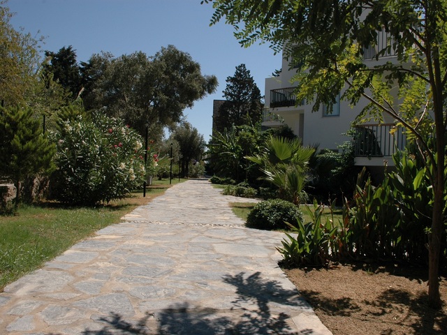 фото отеля Palmet Family Bianco (ex. Club Bodrum; Mio Bianco Resort) изображение №41