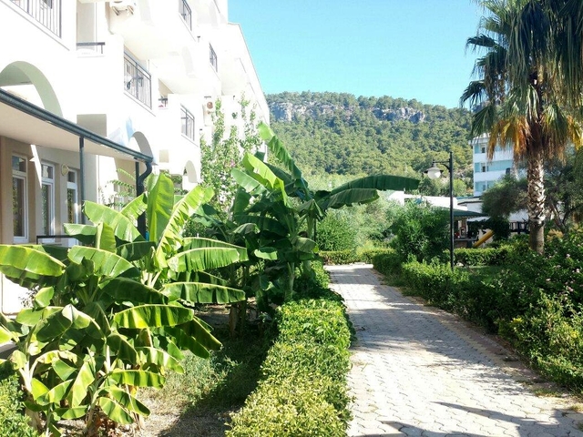 фотографии отеля Anita Club Fontana Life (ex.Club Fontana Life; Diamond Garden) изображение №11