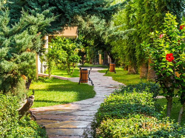 фото Saritas изображение №82