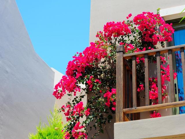 фото Plakias Cretan Resort изображение №38