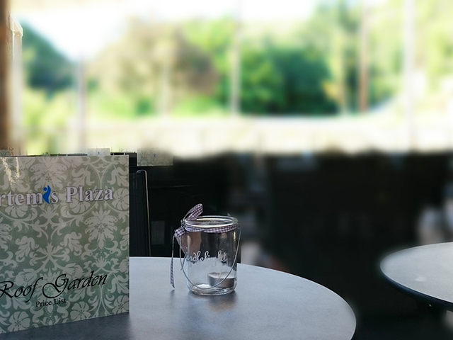 фото Artemis Plaza  изображение №26