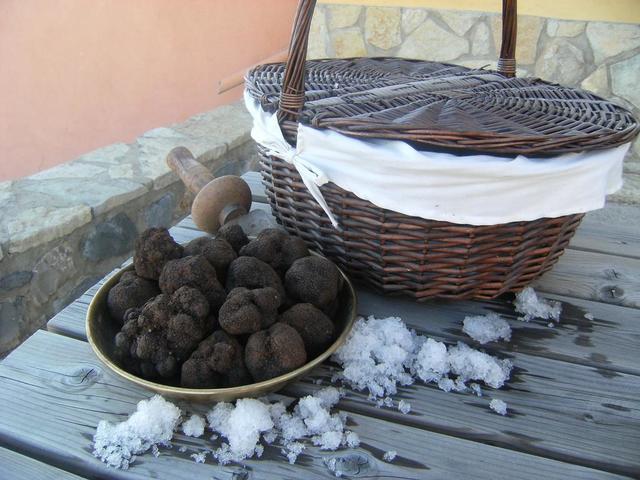 фотографии отеля Hotusa La Trufa Negra изображение №3