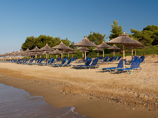 фотографии отеля Blue Dolphin изображение №23