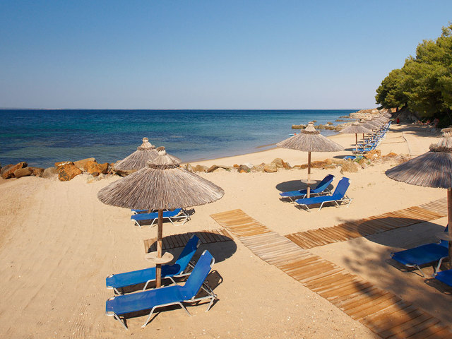 фотографии Blue Dolphin изображение №20