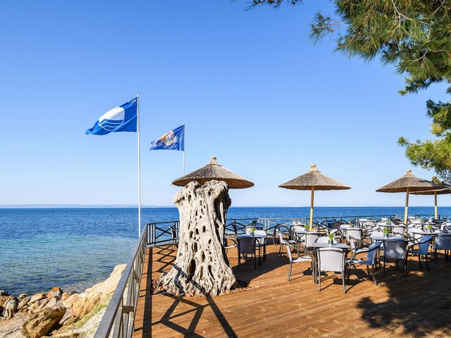 фотографии Blue Dolphin изображение №4