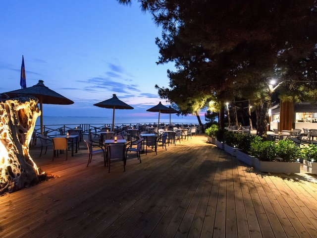 фотографии отеля Blue Dolphin изображение №3