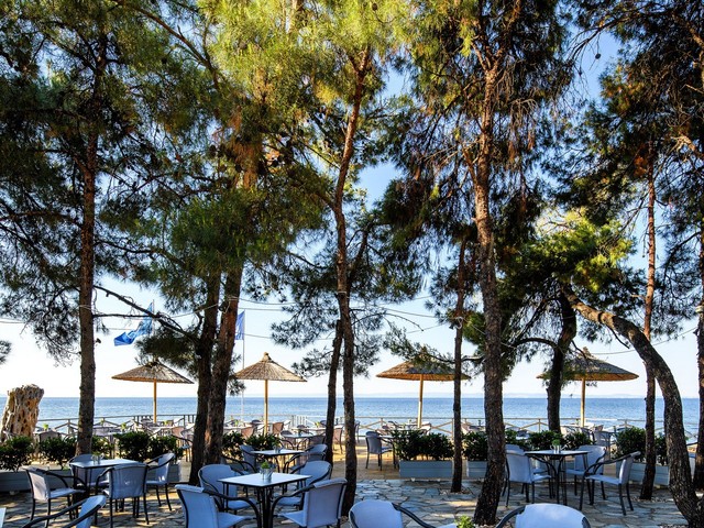 фото Blue Dolphin изображение №2