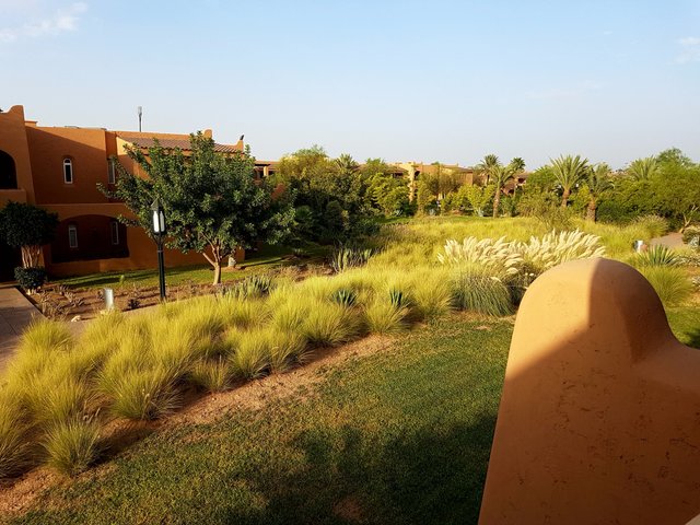 фото отеля ClubHotel Riu Tikida Palmeraie изображение №21