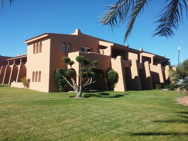 фотографии ClubHotel Riu Tikida Palmeraie изображение №4