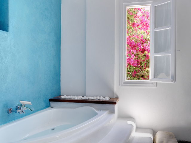 фото Aloni изображение №26