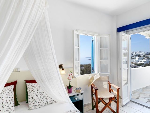 фото Aloni изображение №2