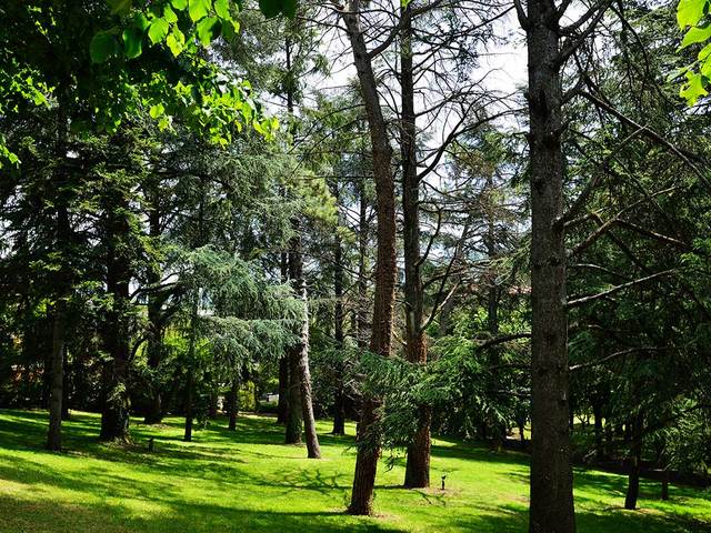 фото отеля Grand Hotel Palazzo della Fonte изображение №29