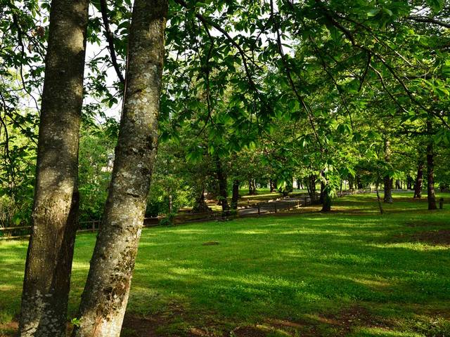 фотографии Grand Hotel Palazzo della Fonte изображение №28