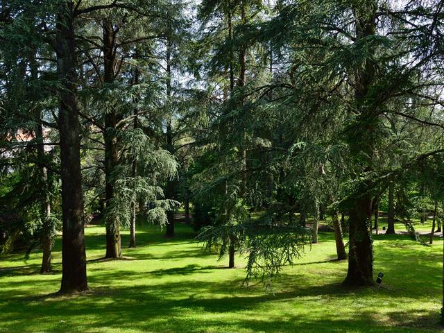 фотографии отеля Grand Hotel Palazzo della Fonte изображение №27