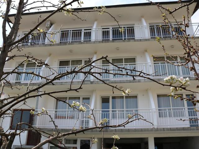 фото Lilia (Лилия) изображение №2