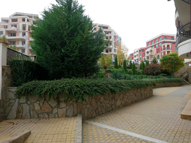 фотографии Royal Palm (Роял Палм) изображение №28