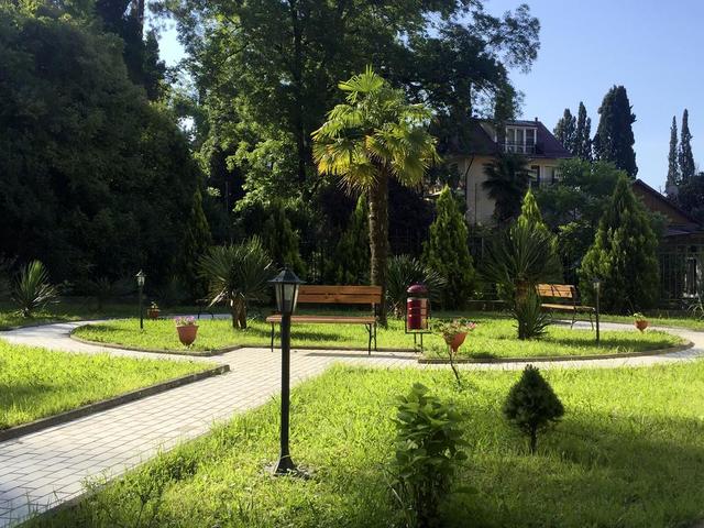 фото Старая Хоста (Old Hosta) изображение №62