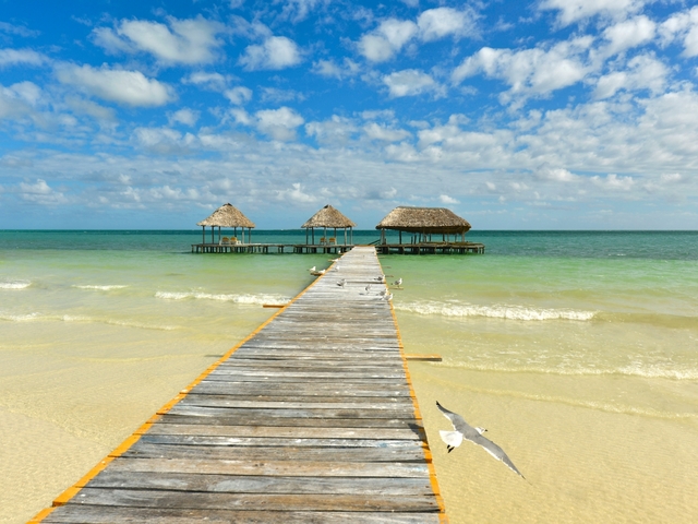 фото Iberostar Daiquiri изображение №50