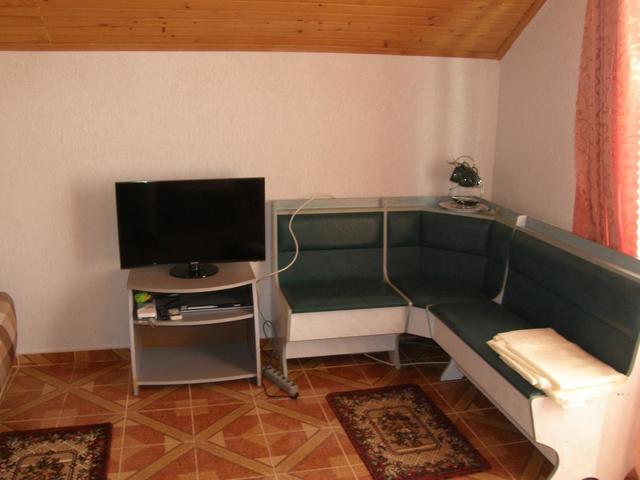 фото Hacuna Matata (Акуна Матата) изображение №26