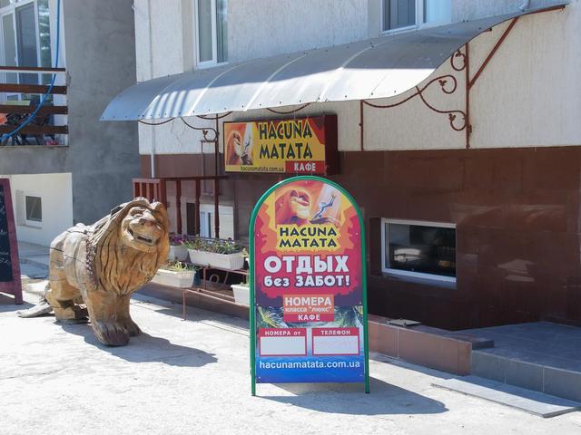 фотографии Hacuna Matata (Акуна Матата) изображение №8