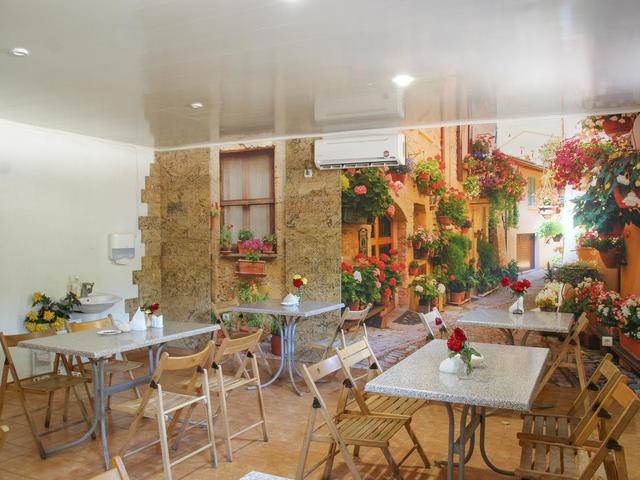 фото Hacuna Matata (Акуна Матата) изображение №6