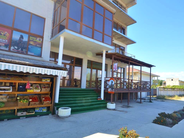 фото Hacuna Matata (Акуна Матата) изображение №2