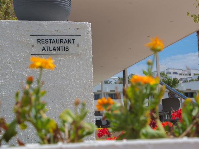 фотографии Allegro Agadir by Barcelo (ex. Les Almohades Beach Resort Agadir) изображение №4