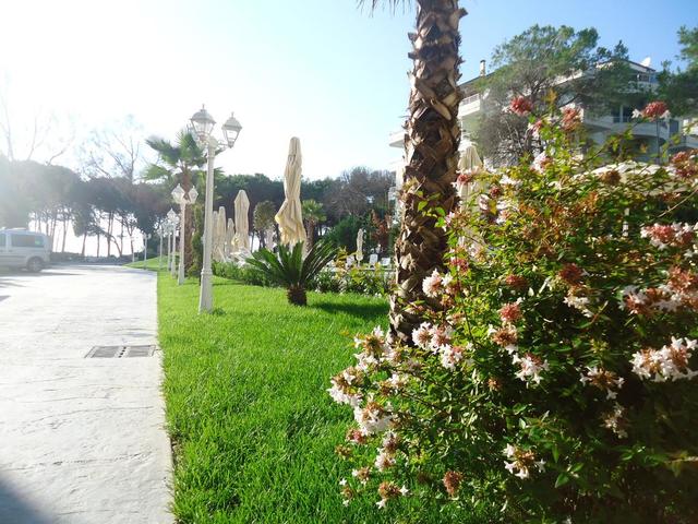 фото Sandy Beach Resort изображение №2