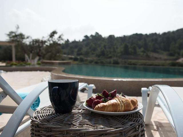 фото Elegant Villa Apolonas изображение №26