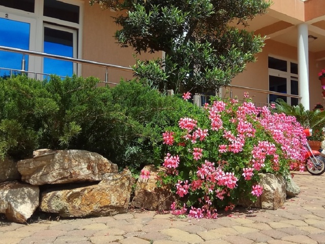 фото Ангелина (Angelina) изображение №34