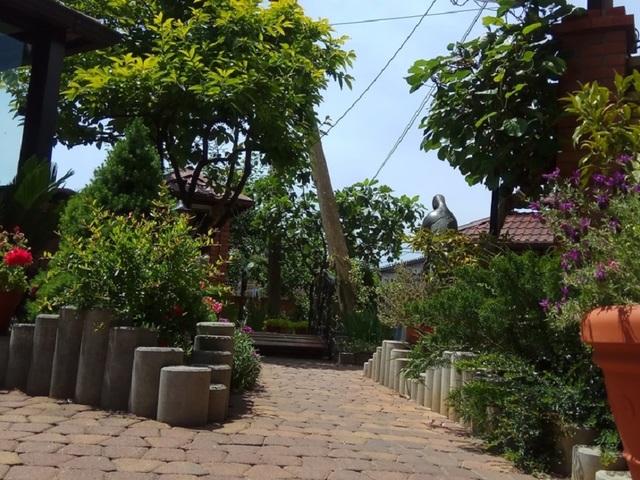 фото отеля Ангелина (Angelina) изображение №33