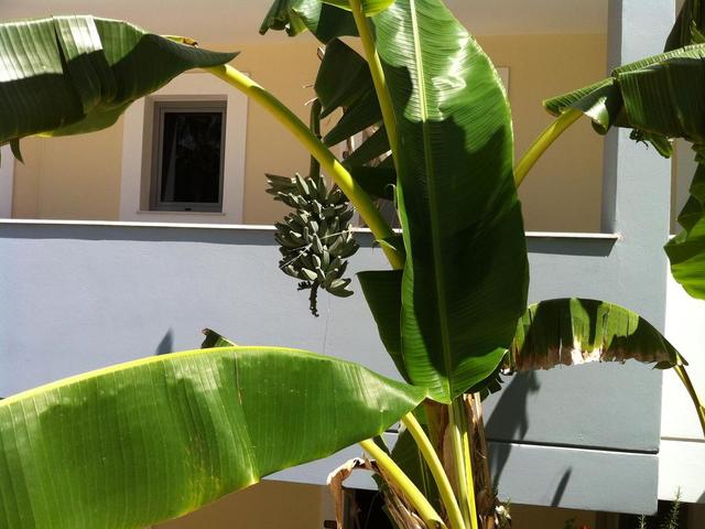 фотографии Olgas Paradise изображение №12