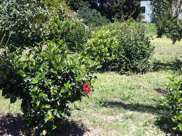 фотографии Olgas Paradise изображение №8