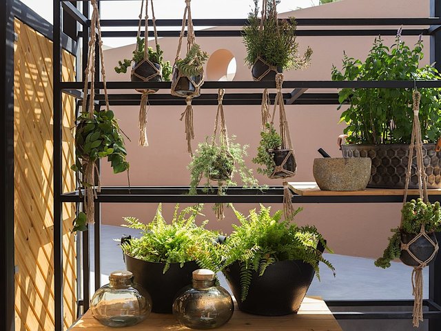 фото отеля Cretan Malia Park изображение №21