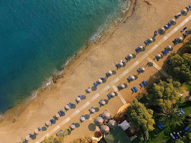 фотографии отеля Cretan Malia Park изображение №3