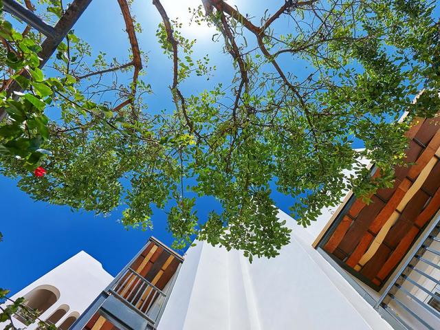 фото отеля Arminda Hotel & Spa изображение №9