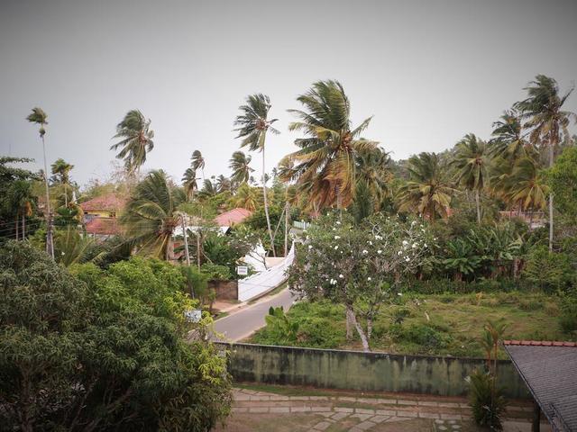 фотографии отеля Dilara Resort изображение №15