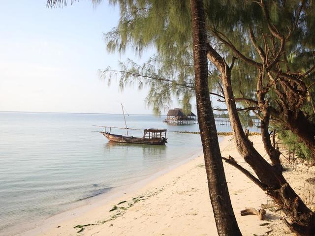фото отеля Zanzibar Bay Resort изображение №21