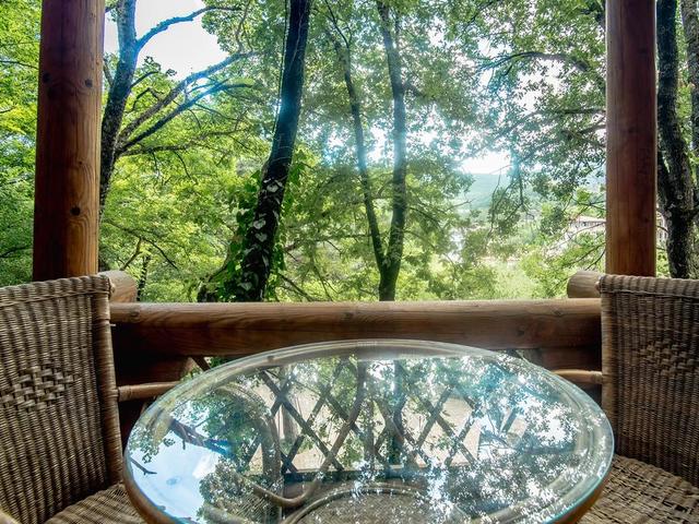 фото отеля Поляна Сказок (Polyana Skazok) изображение №33