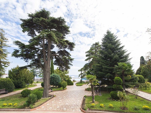 фотографии Riviera Sunrise Resort & SPA (ex. Radisson Resort & Spa) изображение №140