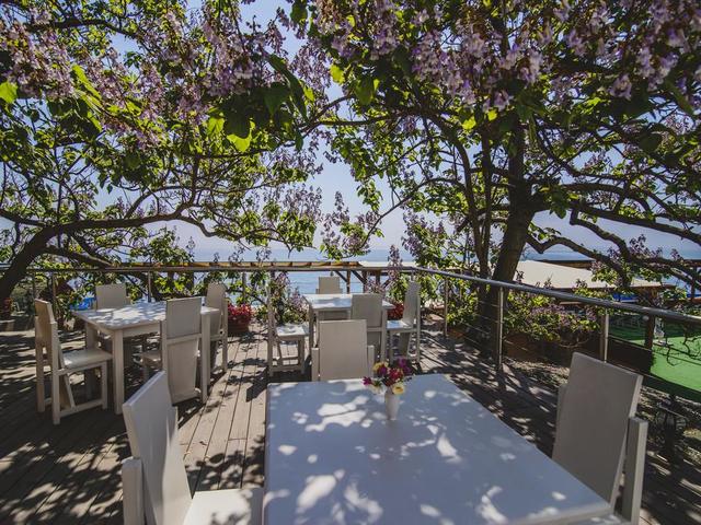 фото отеля Левант (Levant) изображение №17