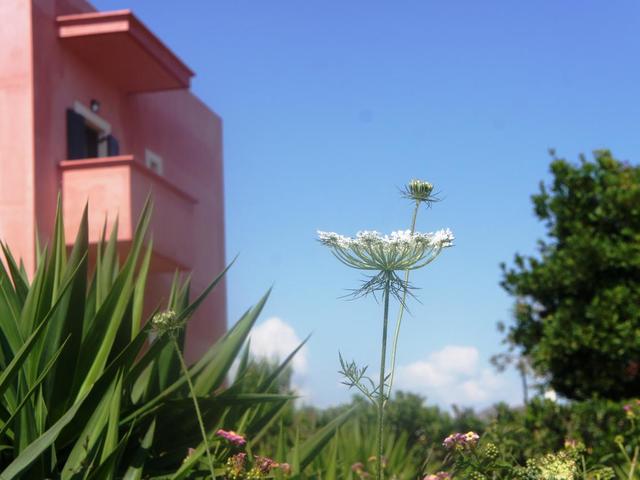 фотографии Anemos Inn (ex. Sofia's House) изображение №32