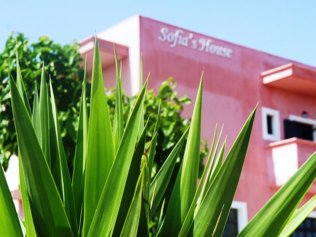 фото Anemos Inn (ex. Sofia's House) изображение №6