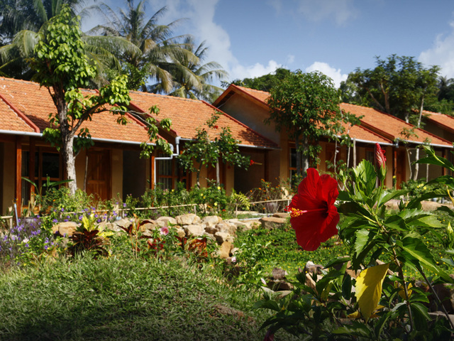 фотографии отеля Daisy Resort изображение №31